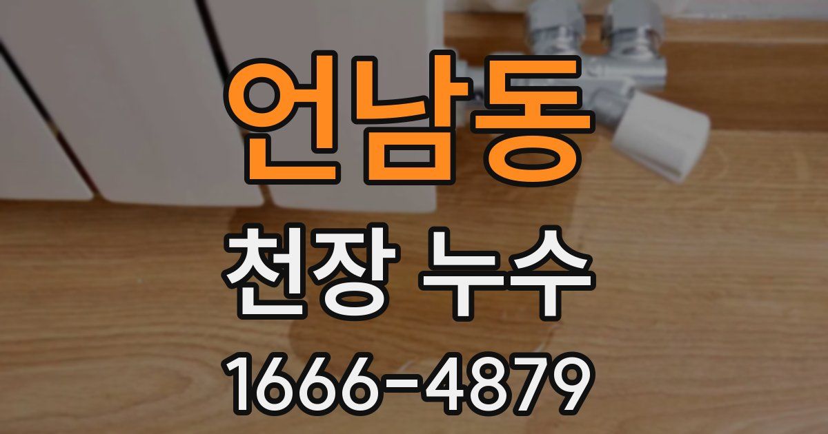 언남동 천장 누수