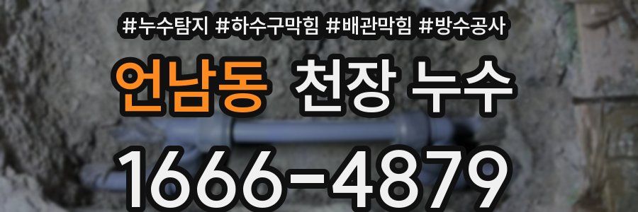 언남동 천장 누수