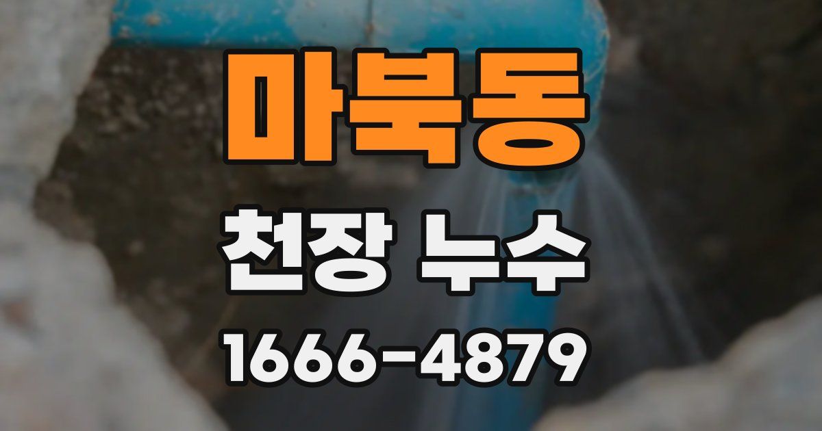 마북동 천장 누수