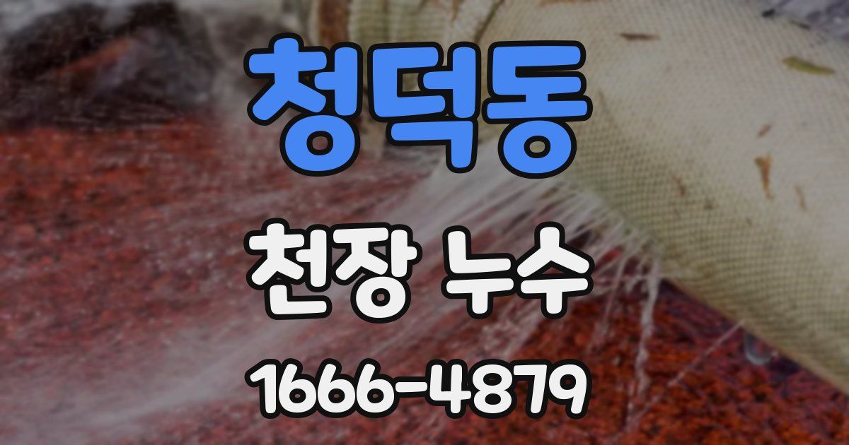 청덕동 천장 누수
