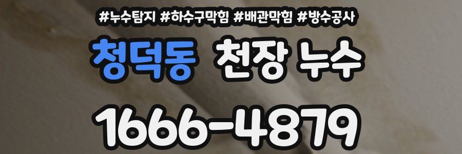 청덕동 천장 누수