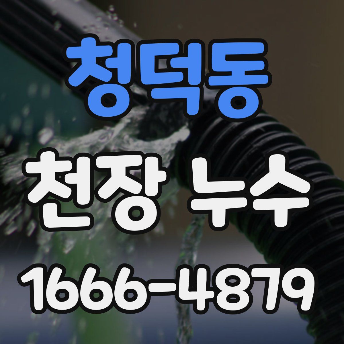 청덕동 천장 누수