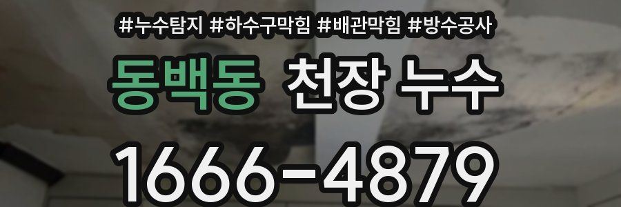 동백동 천장 누수