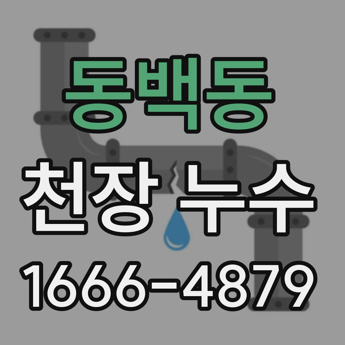 동백동 천장 누수