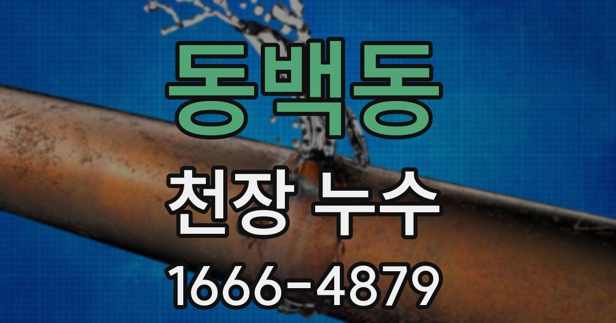 동백동 천장 누수