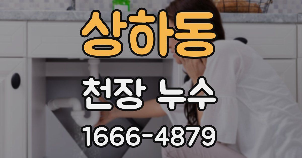 상하동 천장 누수
