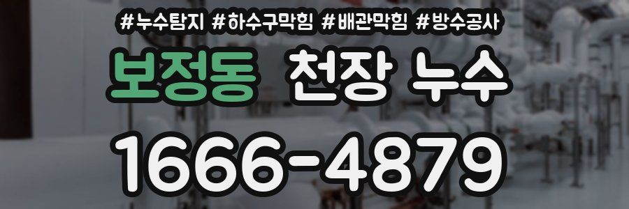 보정동 천장 누수