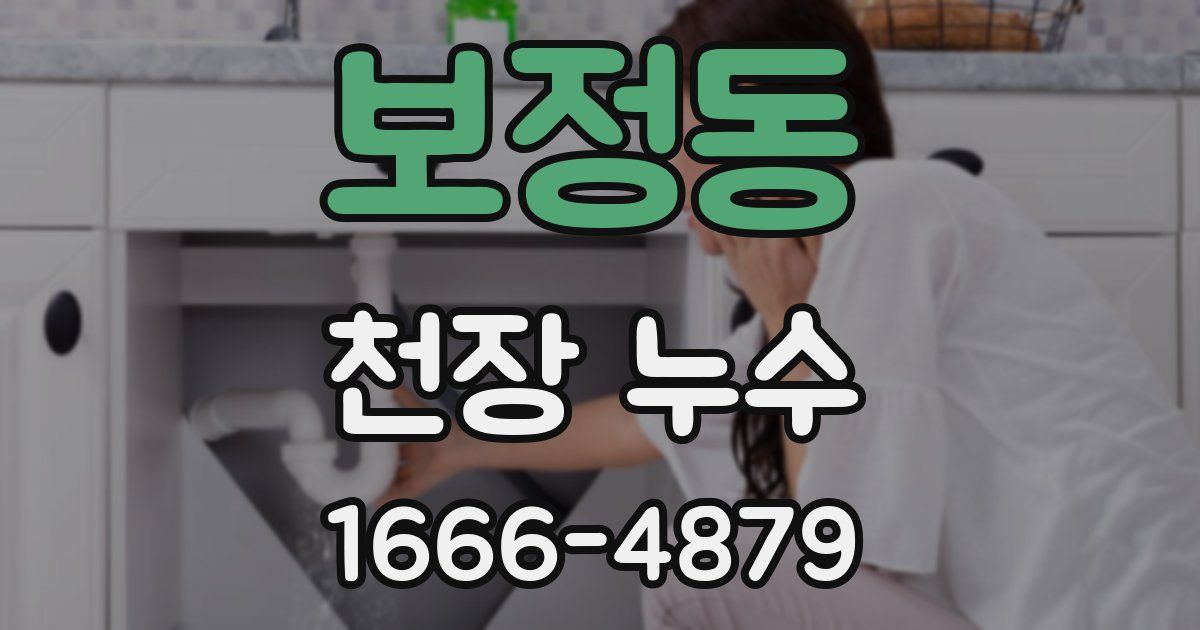 보정동 천장 누수