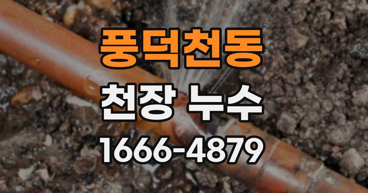 풍덕천동 천장 누수