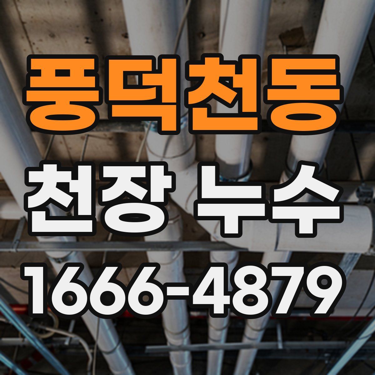 풍덕천동 천장 누수