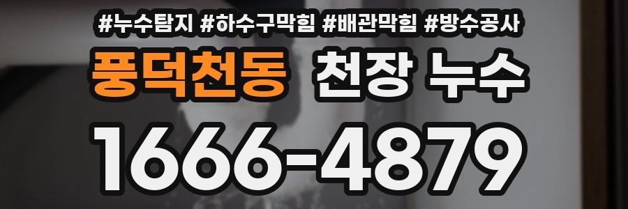 풍덕천동 천장 누수