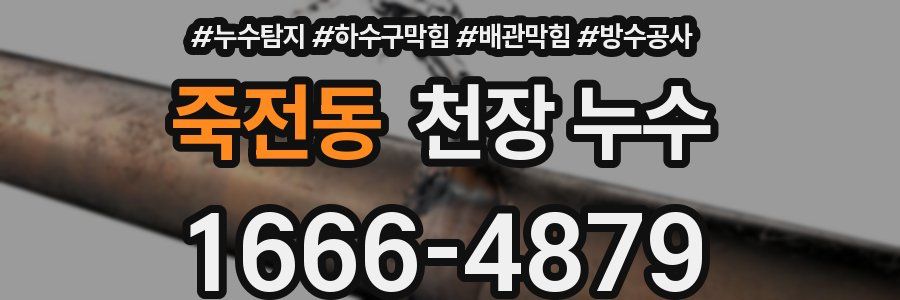 죽전동 천장 누수