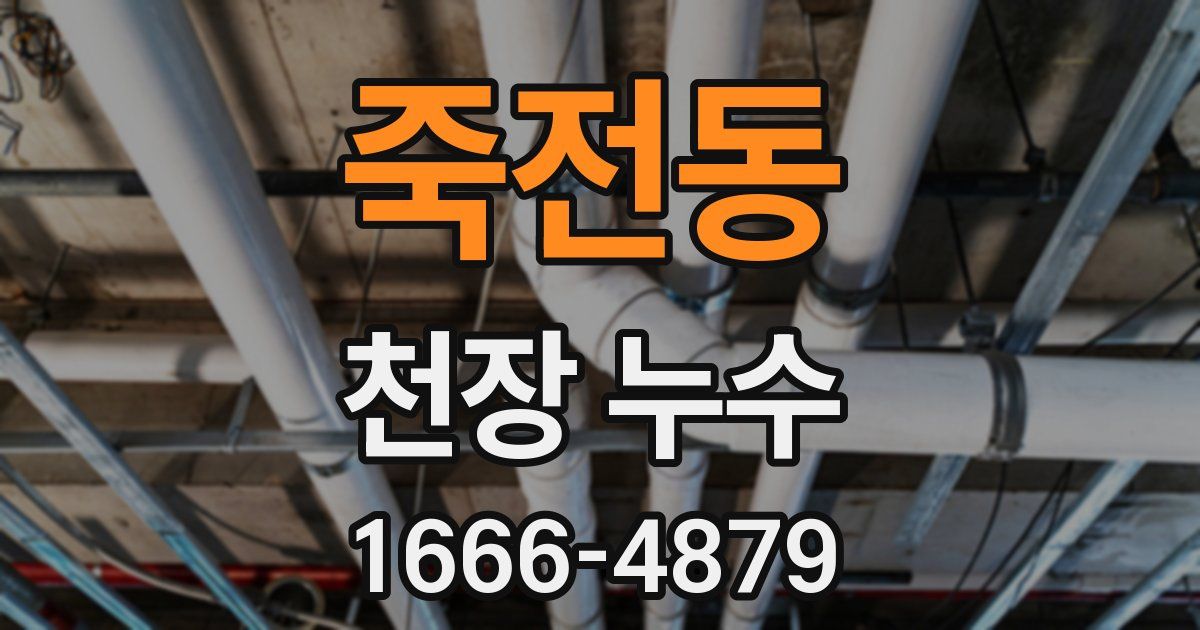 죽전동 천장 누수