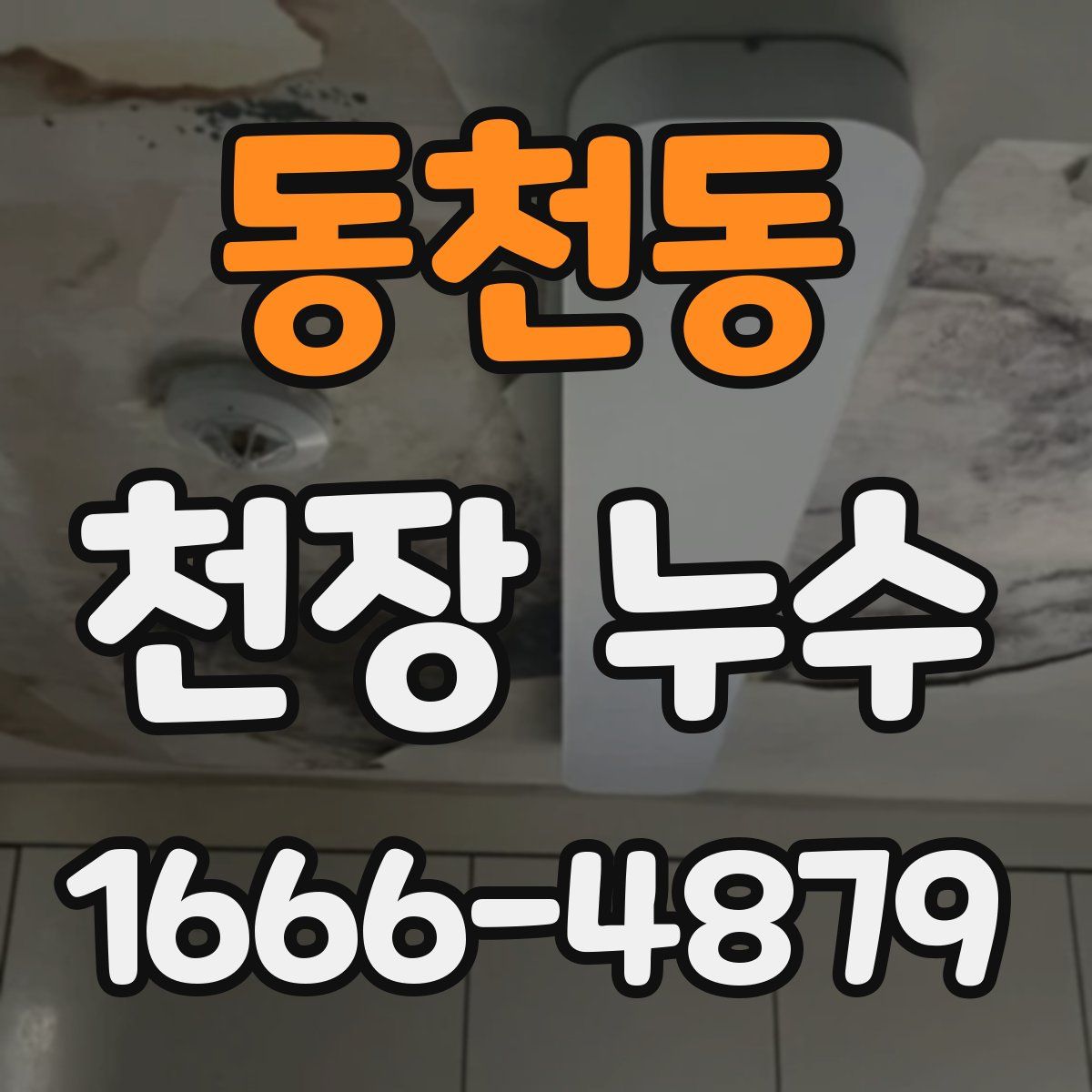 동천동 천장 누수