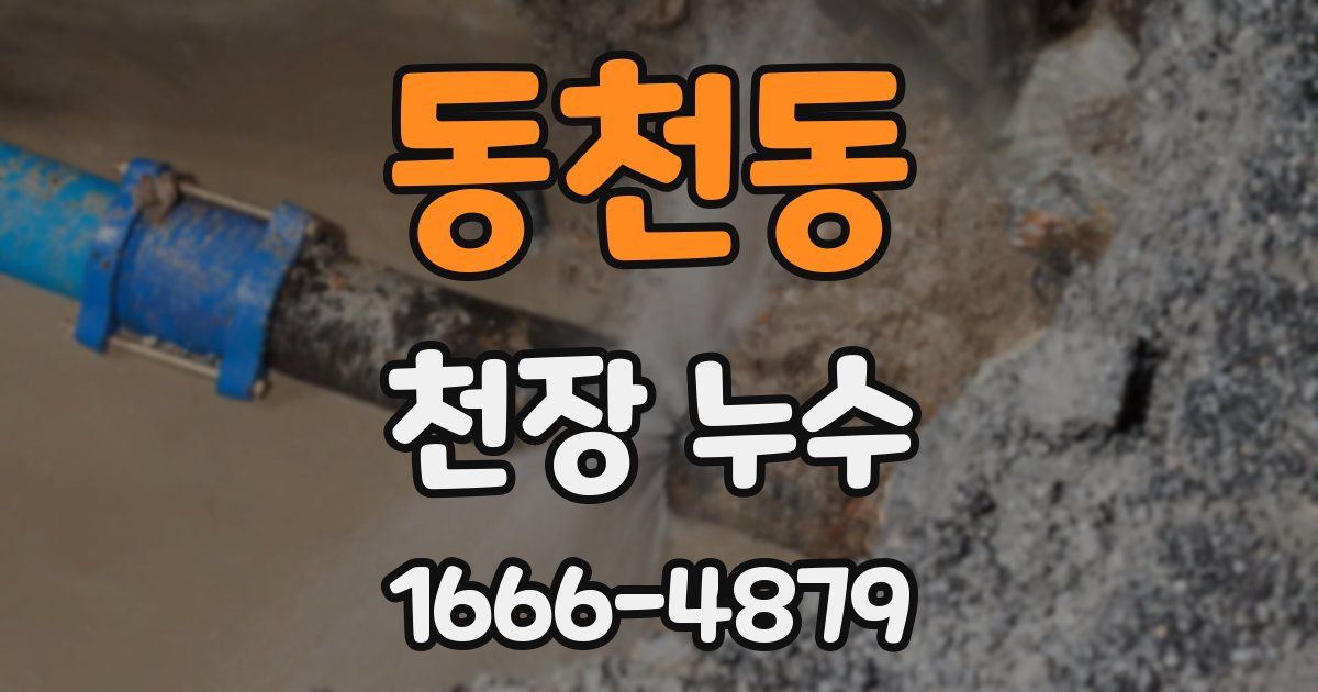 동천동 천장 누수