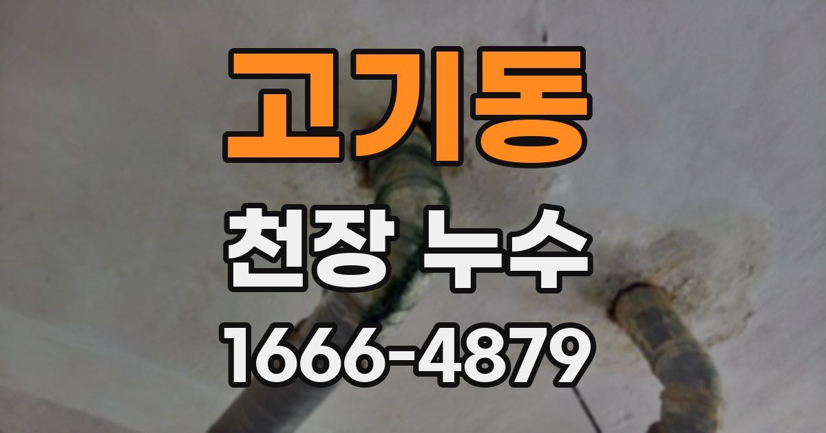 고기동 천장 누수