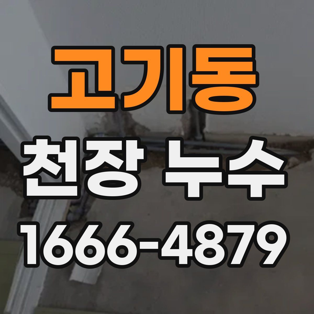 고기동 천장 누수