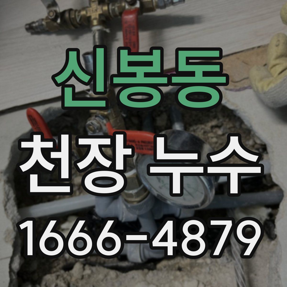 신봉동 천장 누수