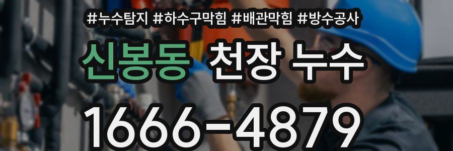 신봉동 천장 누수