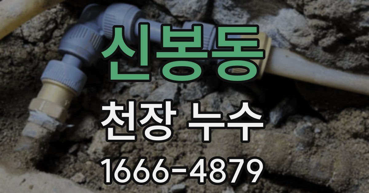 신봉동 천장 누수