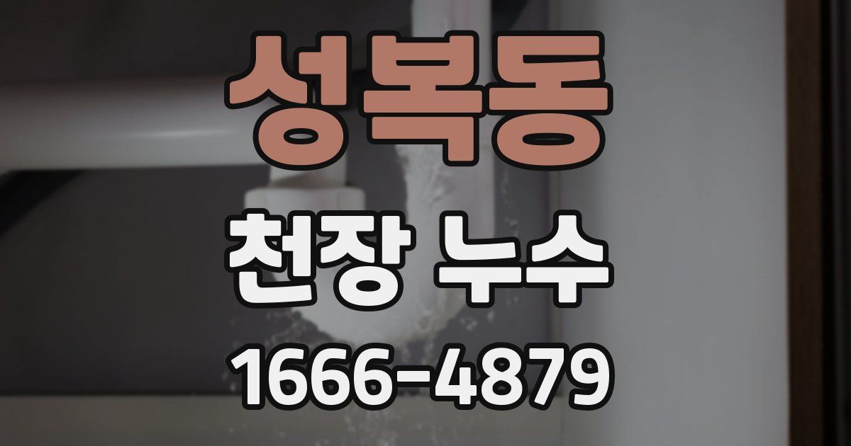 성복동 천장 누수