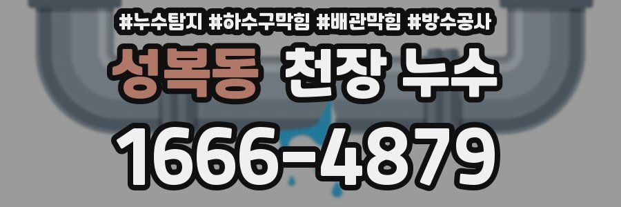 성복동 천장 누수
