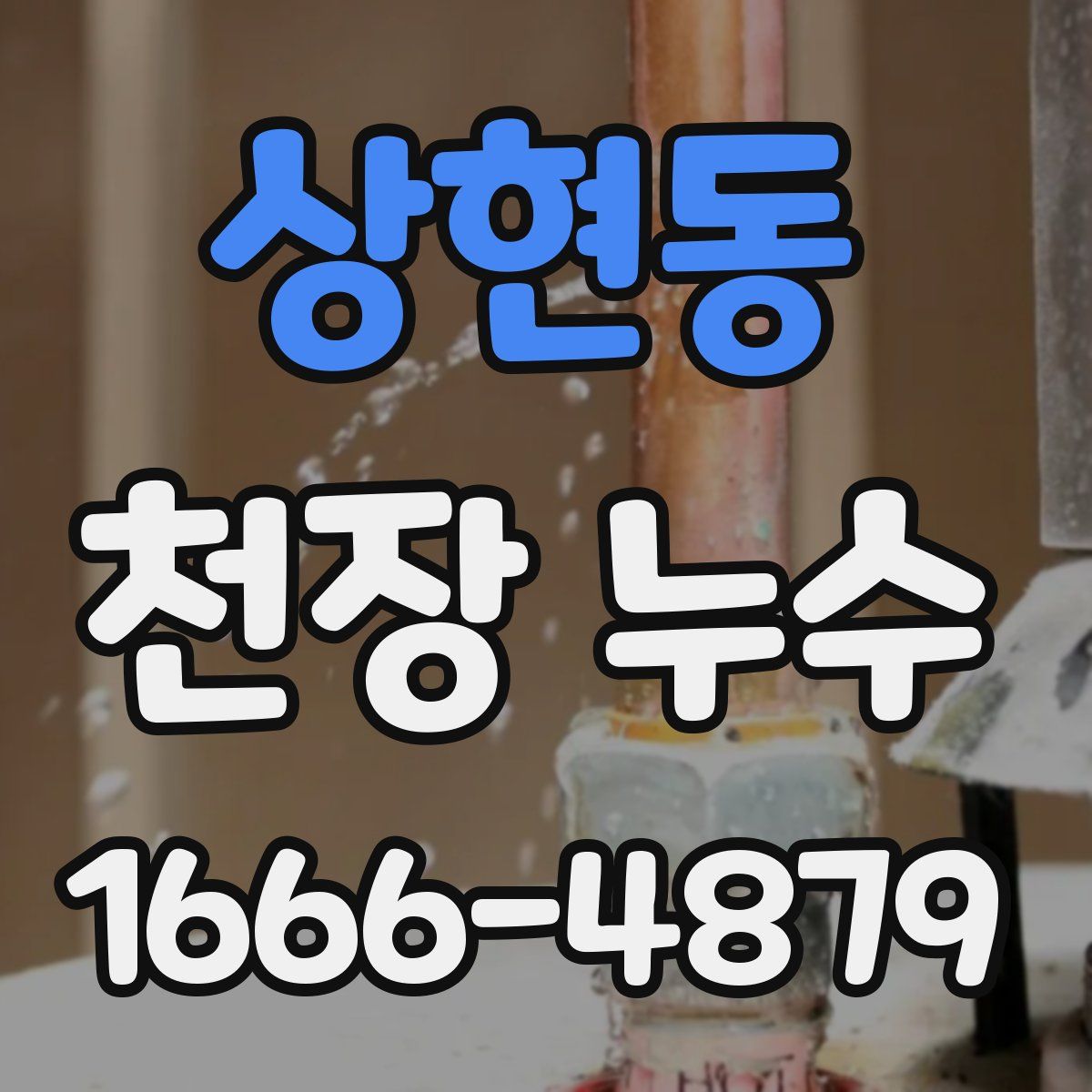 상현동 천장 누수