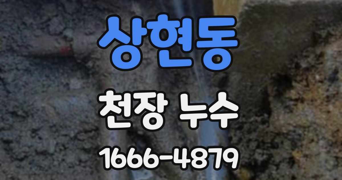 상현동 천장 누수