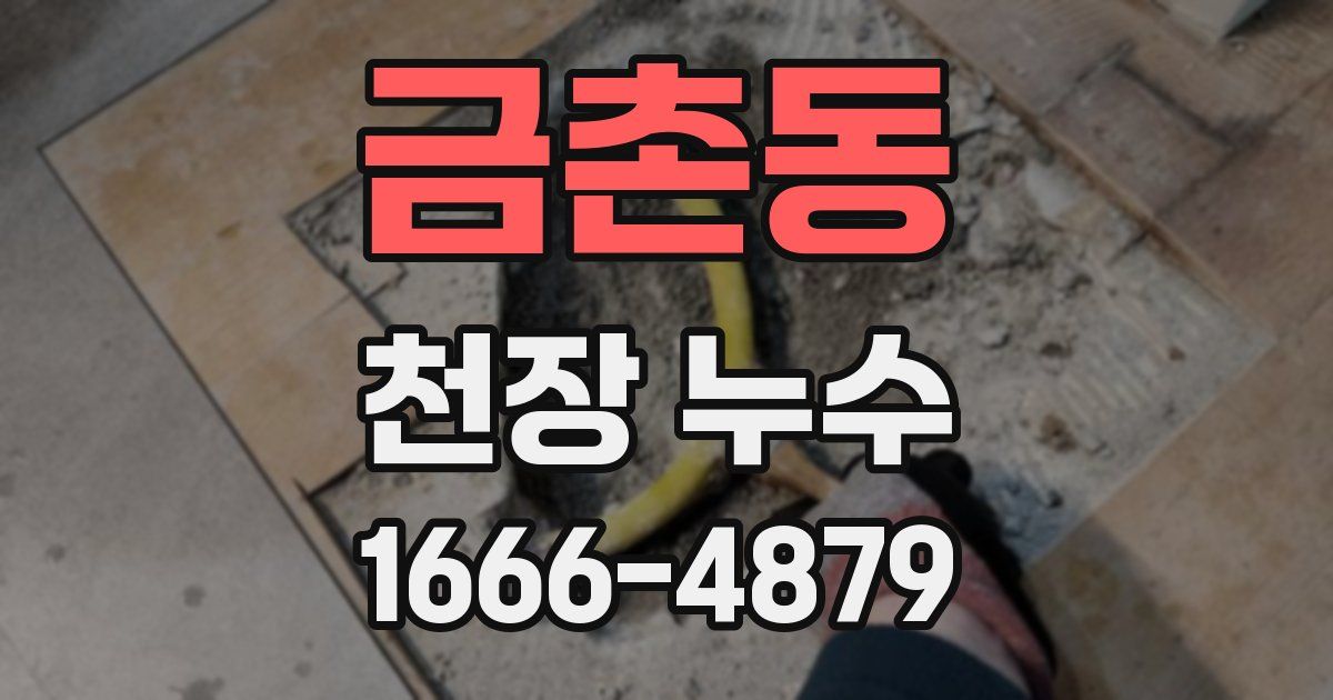 금촌동 천장 누수