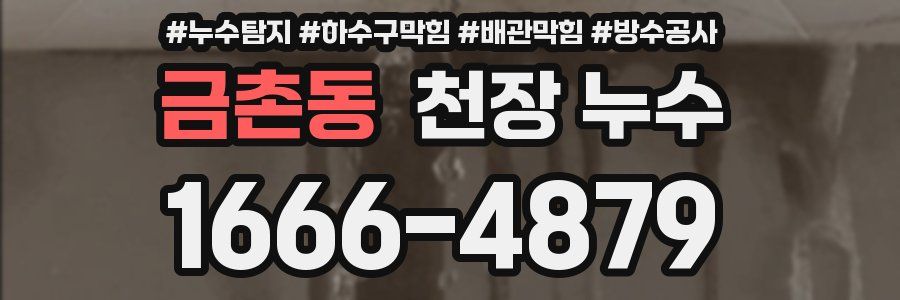 금촌동 천장 누수