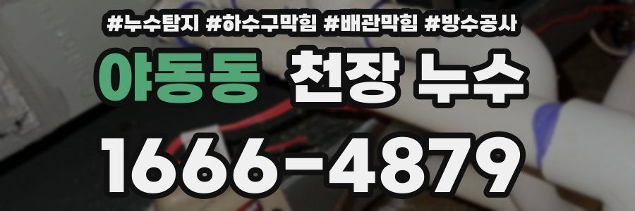 야동동 천장 누수