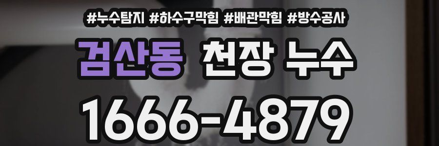검산동 천장 누수