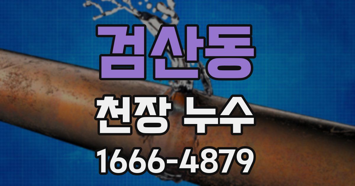 검산동 천장 누수