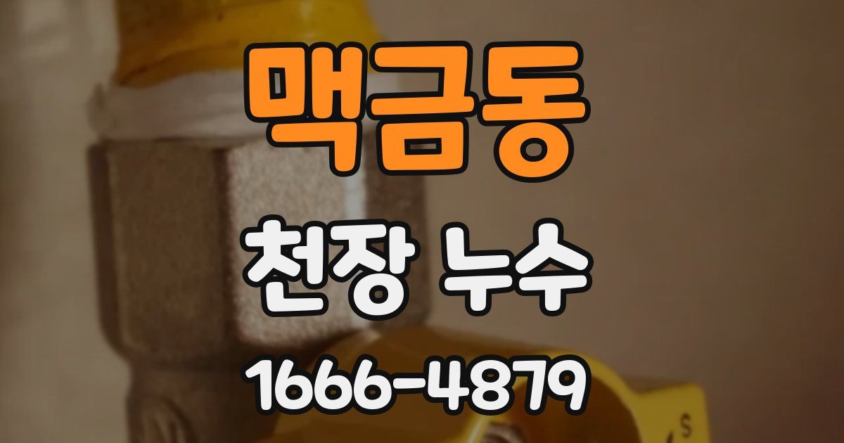 맥금동 천장 누수
