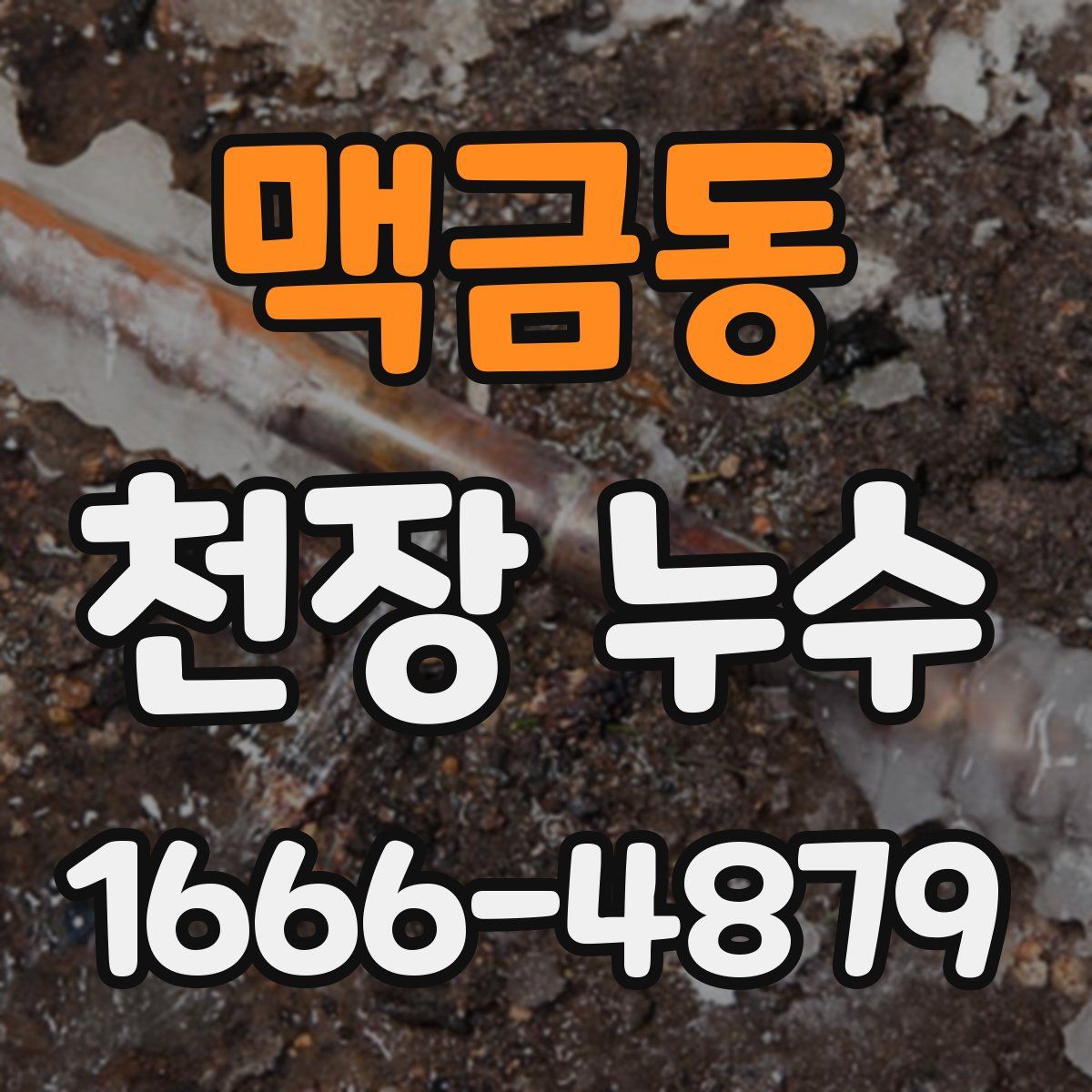 맥금동 천장 누수