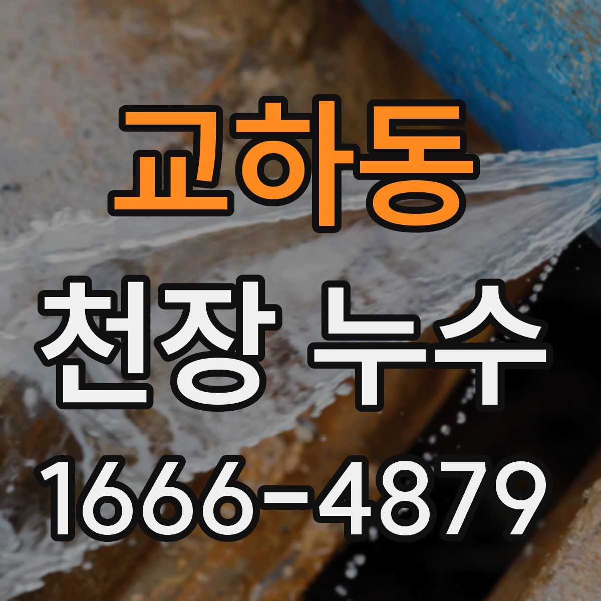 교하동 천장 누수