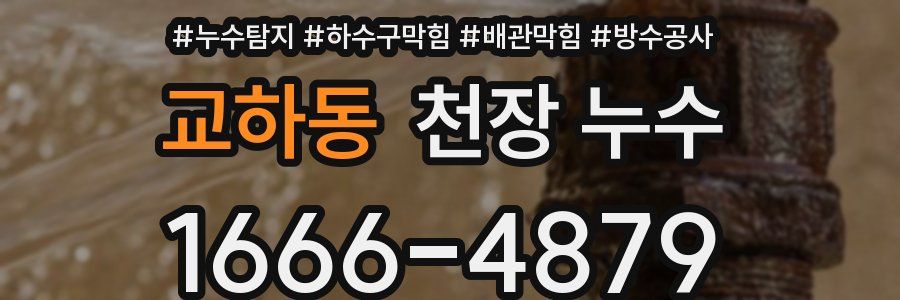 교하동 천장 누수
