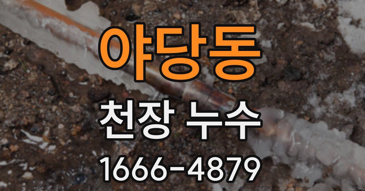 야당동 천장 누수