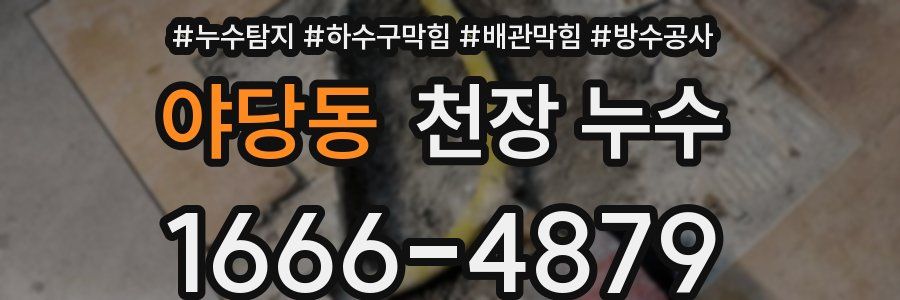 야당동 천장 누수