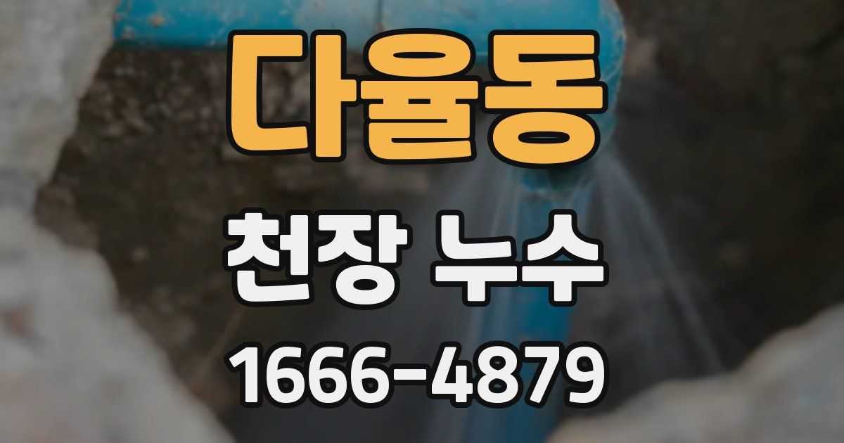 다율동 천장 누수