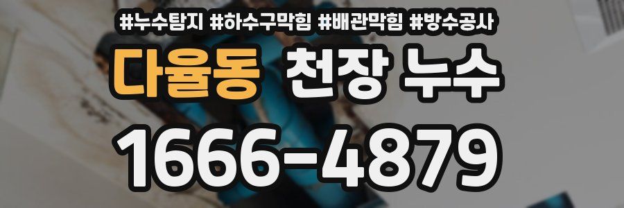 다율동 천장 누수