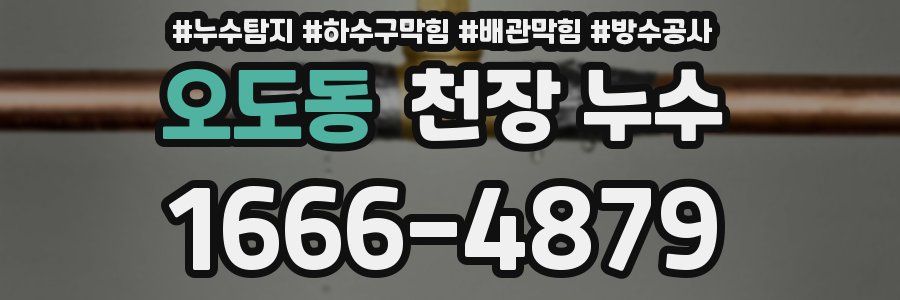 오도동 천장 누수