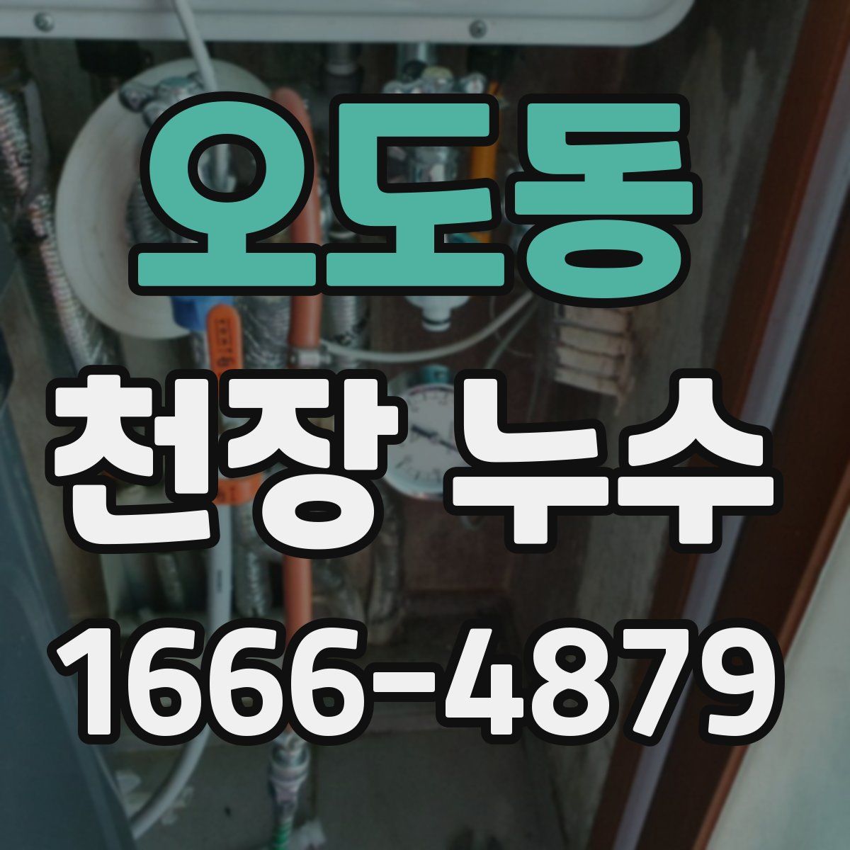 오도동 천장 누수