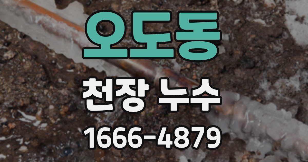 오도동 천장 누수