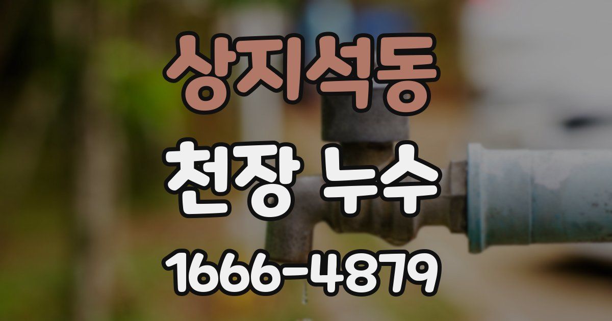 상지석동 천장 누수