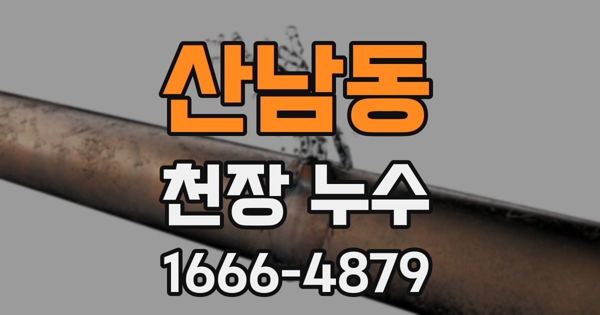 산남동 천장 누수