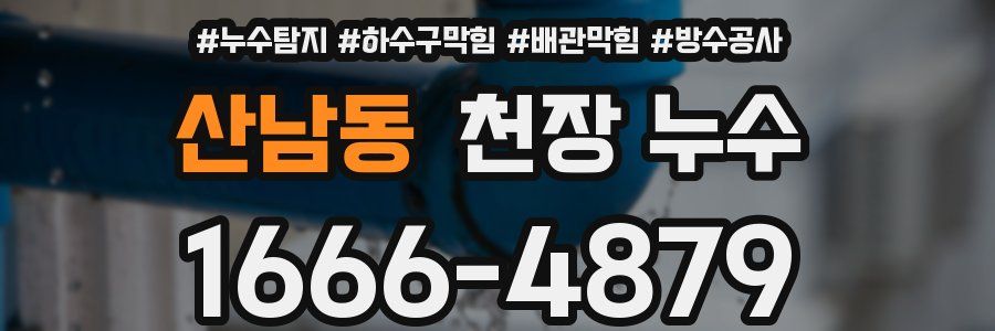 산남동 천장 누수
