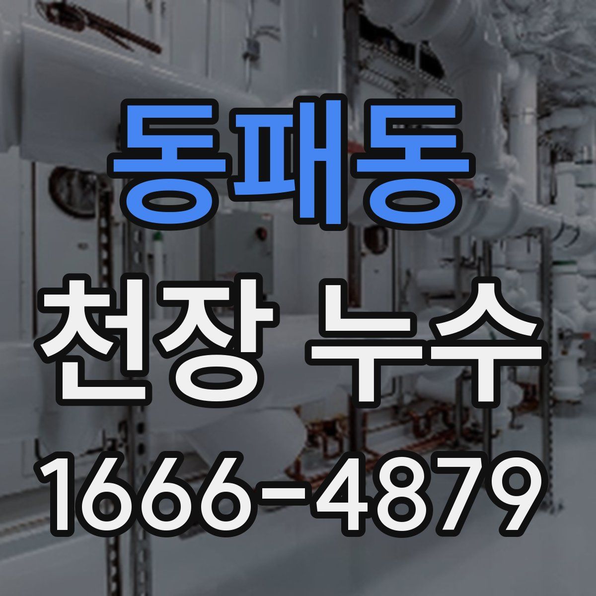 동패동 천장 누수