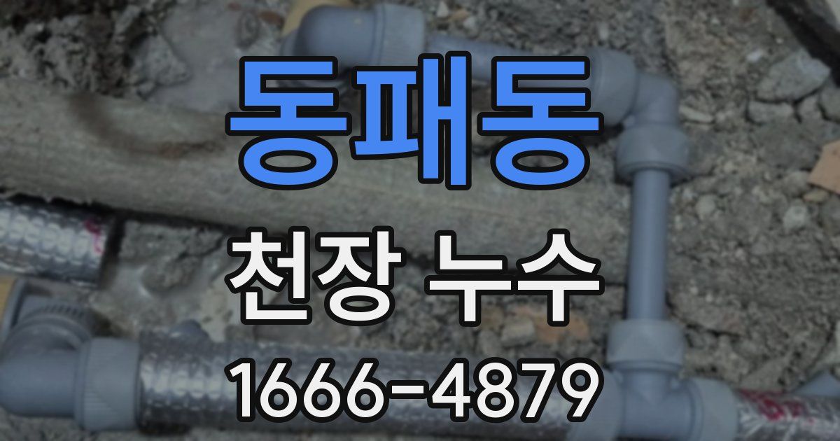 동패동 천장 누수