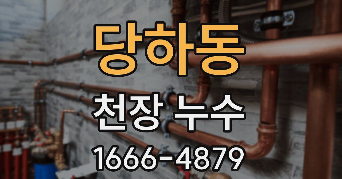 당하동 천장 누수